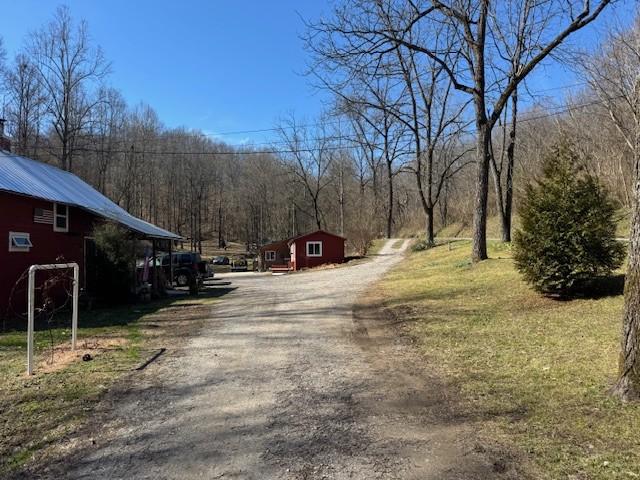 view of road featuring dirt driveway