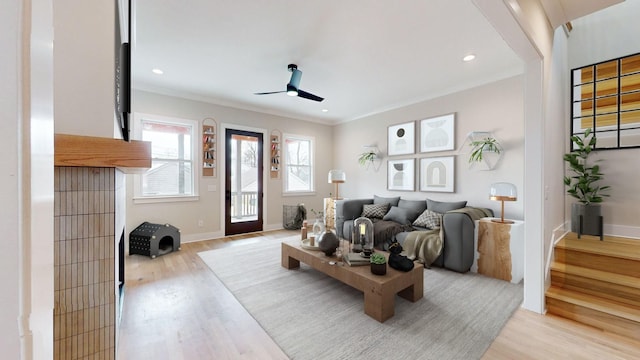 living room featuring baseboards, ceiling fan, light wood-style flooring, and crown molding