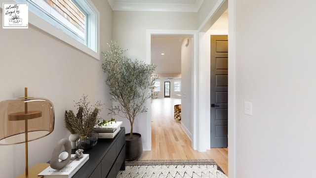 corridor featuring light wood-style floors and plenty of natural light