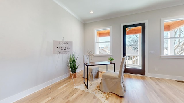 dining room featuring light wood-style flooring, a wealth of natural light, and baseboards