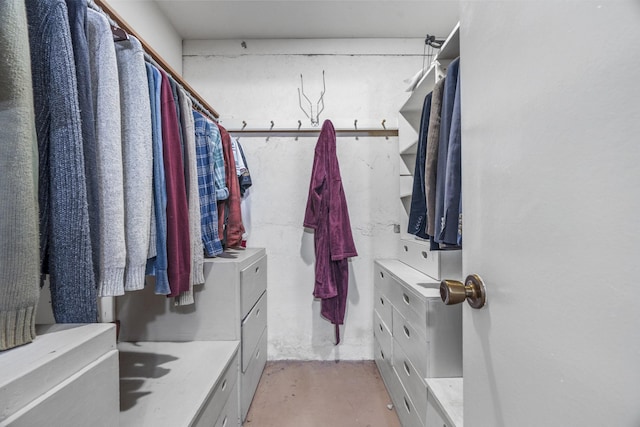 view of spacious closet