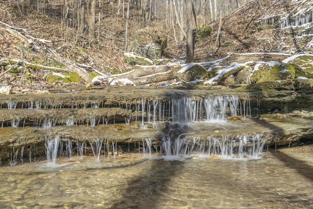 view of local wilderness featuring a water view