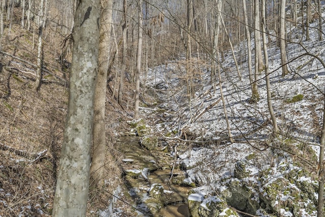 view of local wilderness featuring a view of trees