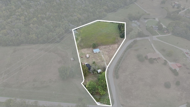 6825 Bizzell Howell Ln, College Grove TN, 37046 land for sale