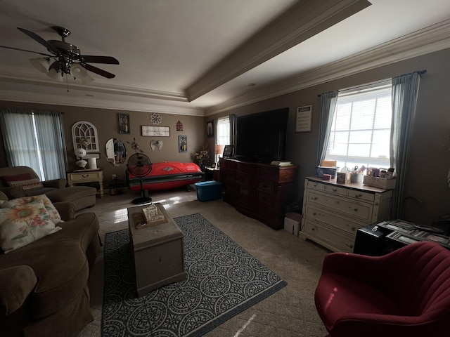 bedroom featuring multiple windows, ornamental molding, and a raised ceiling