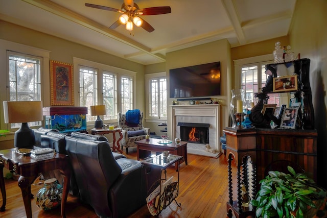 living area with beam ceiling, light wood finished floors, ceiling fan, a warm lit fireplace, and coffered ceiling