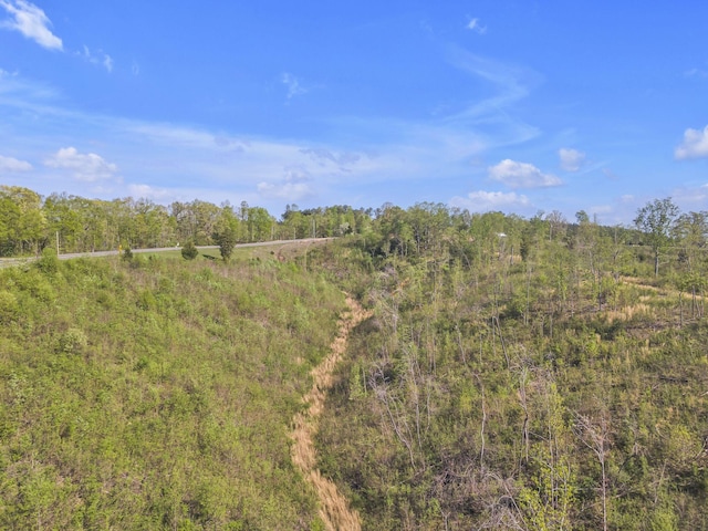 Listing photo 3 for 9106 Hohenwald Hwy, Waynesboro TN 38485