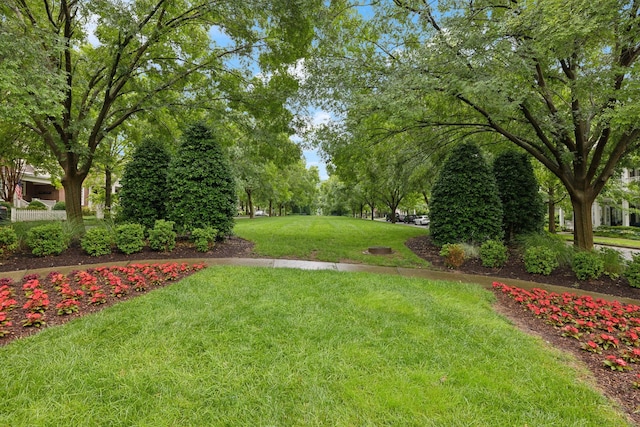 503 Ardmore Pl, Franklin, TN 37064 - view of grassy yard