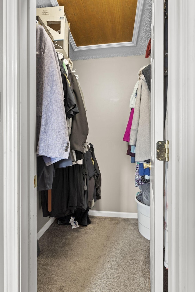 walk in closet featuring carpet flooring