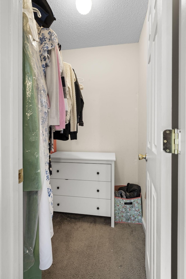 spacious closet with dark carpet