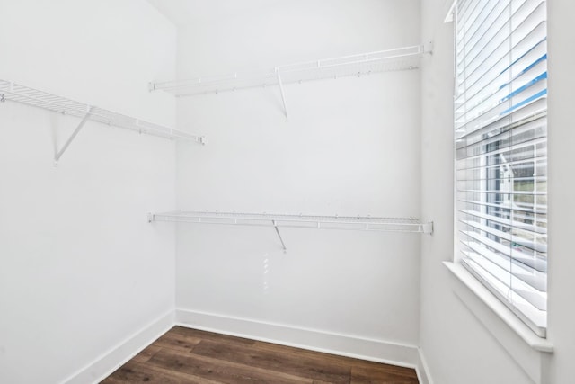 walk in closet featuring dark wood-style flooring