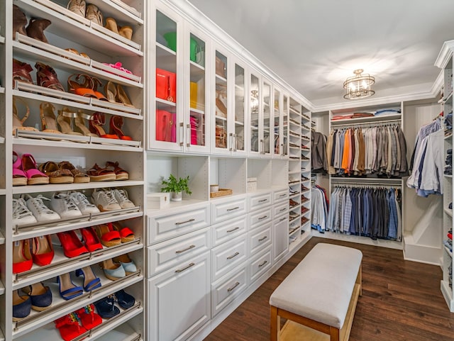 5562 Hardeman Springs Blvd, Arrington, TN 37014 - walk in closet with a chandelier and dark wood-style flooring