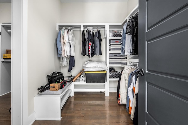 walk in closet featuring dark wood finished floors