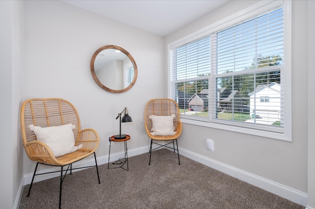 sitting room with carpet floors and baseboards