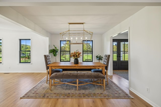 dining room featuring a notable chandelier, plenty of natural light, and wood finished floors