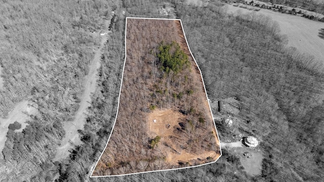 34 Copperas Branch Rd, Leoma TN, 38468 land for sale