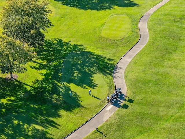 bird's eye view