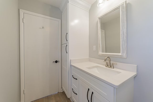 bathroom featuring wood finished floors and vanity