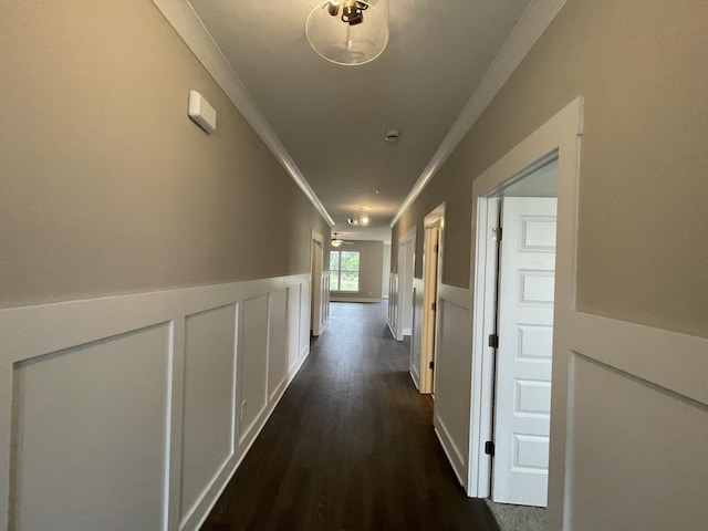 corridor featuring a wainscoted wall, a decorative wall, dark wood-style floors, and crown molding