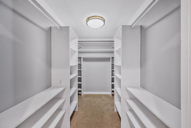 spacious closet with light carpet