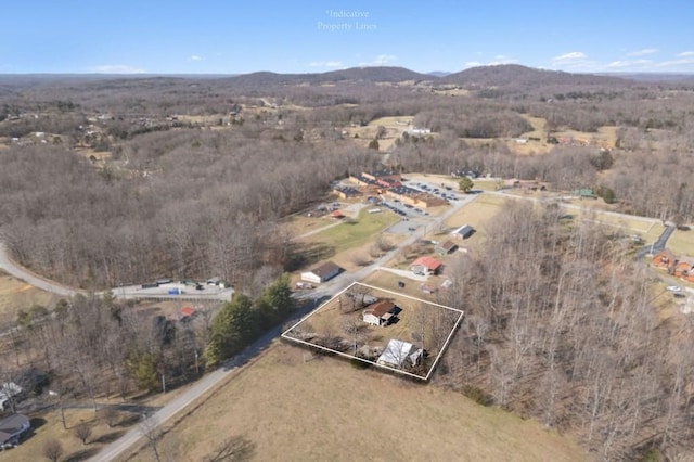 birds eye view of property featuring a mountain view