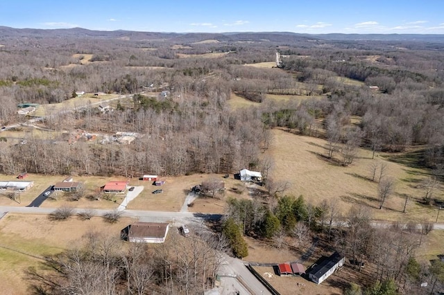 aerial view with a mountain view