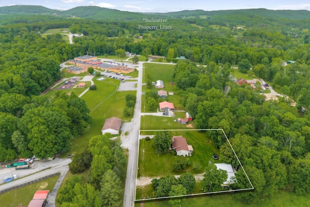 139 Old Standing Stone Rd, Livingston, TN 38570 - photo 34