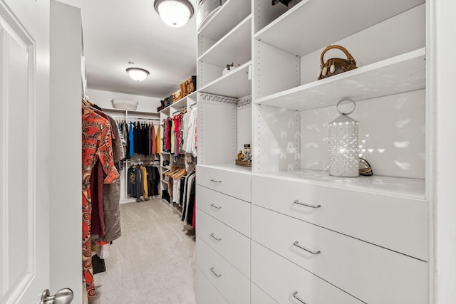 spacious closet featuring light carpet