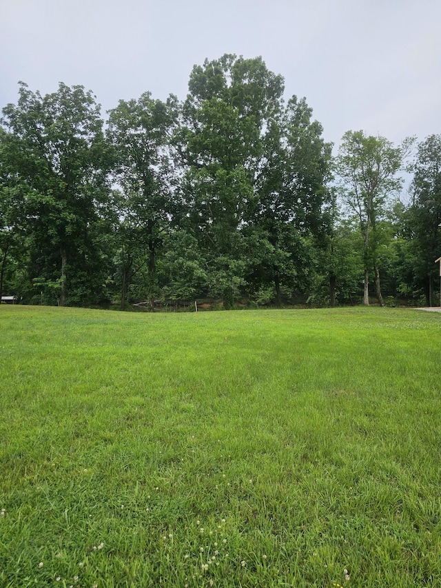 Listing photo 3 for 380 Duck Blind Rd, Clifton TN 38425