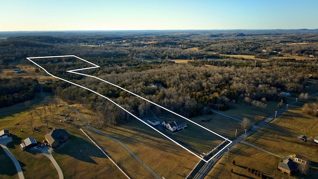 birds eye view of property with a rural view and a view of trees