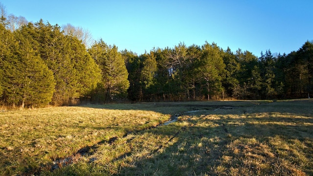 view of nature featuring a wooded view