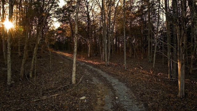 view of road