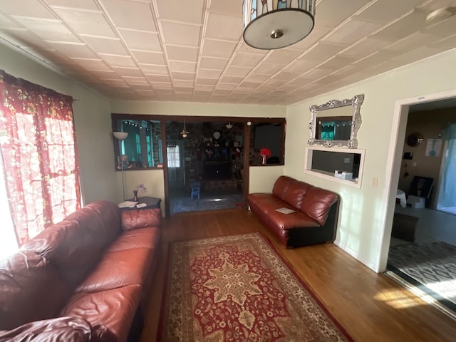 living room featuring wood finished floors