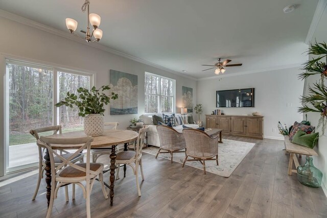 dining area featuring ornamental molding, a wealth of natural light, and light wood-style floors