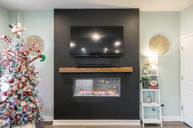 room details featuring baseboards, wood finished floors, and a glass covered fireplace