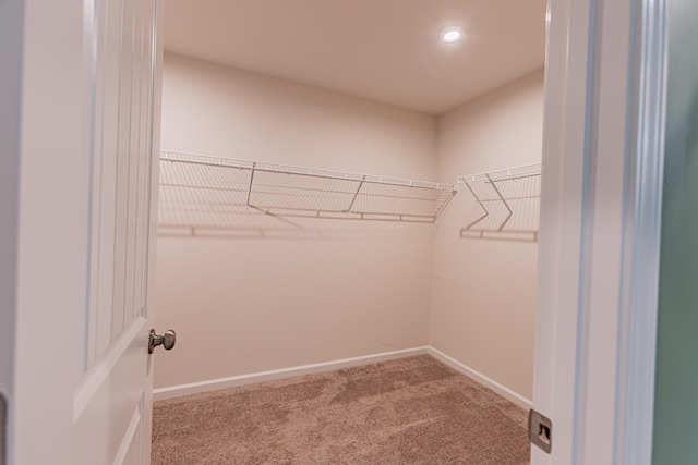 spacious closet with carpet