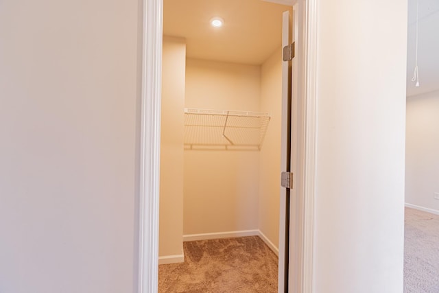 walk in closet featuring carpet floors and attic access