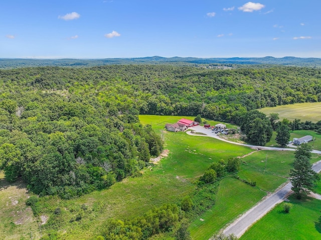 aerial view with a forest view