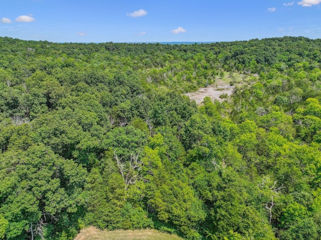 bird's eye view featuring a view of trees