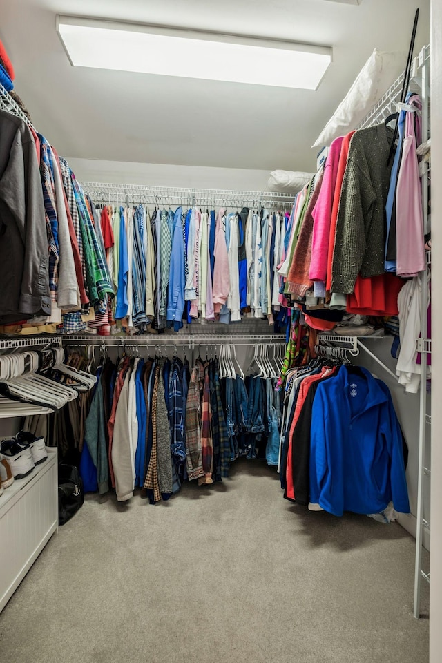 walk in closet with carpet flooring