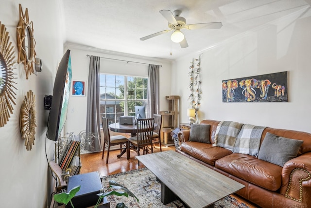 living area featuring a ceiling fan, wood finished floors, and ornamental molding