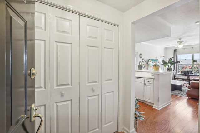 hallway with wood finished floors