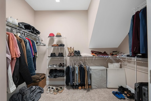 spacious closet with carpet