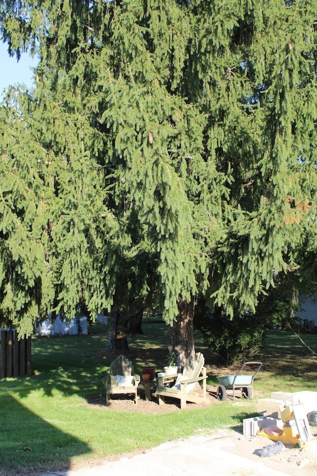 view of community featuring a lawn