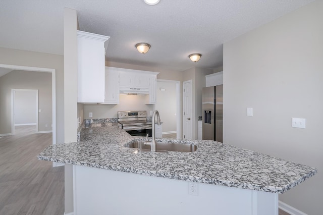 kitchen with a peninsula, appliances with stainless steel finishes, and a sink