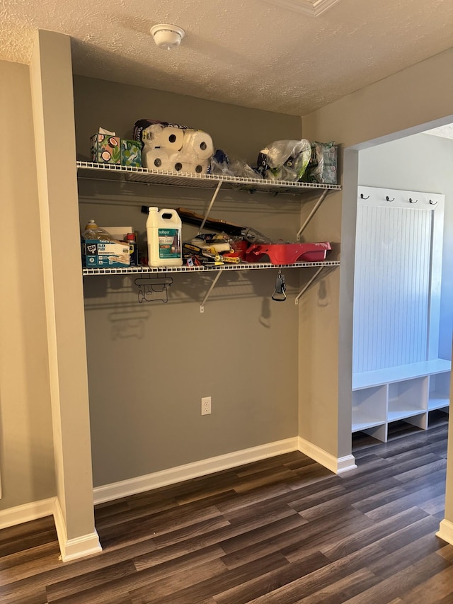 walk in closet with dark wood finished floors