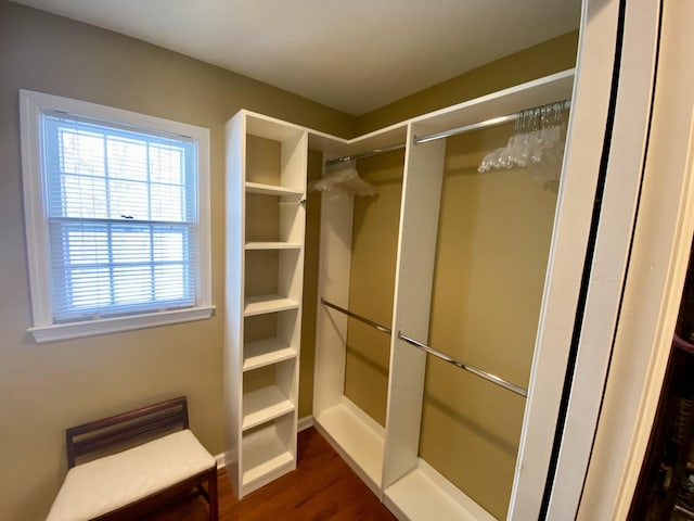 spacious closet featuring dark wood-type flooring