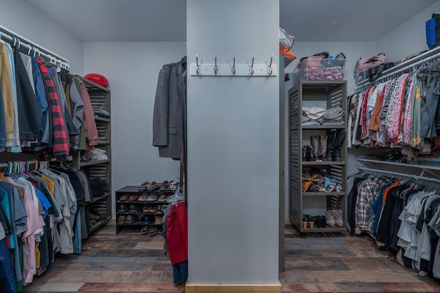 walk in closet with dark wood finished floors