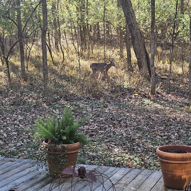 view of yard with a deck