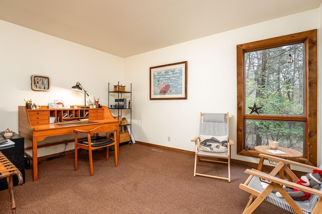 carpeted office space with a wealth of natural light and baseboards